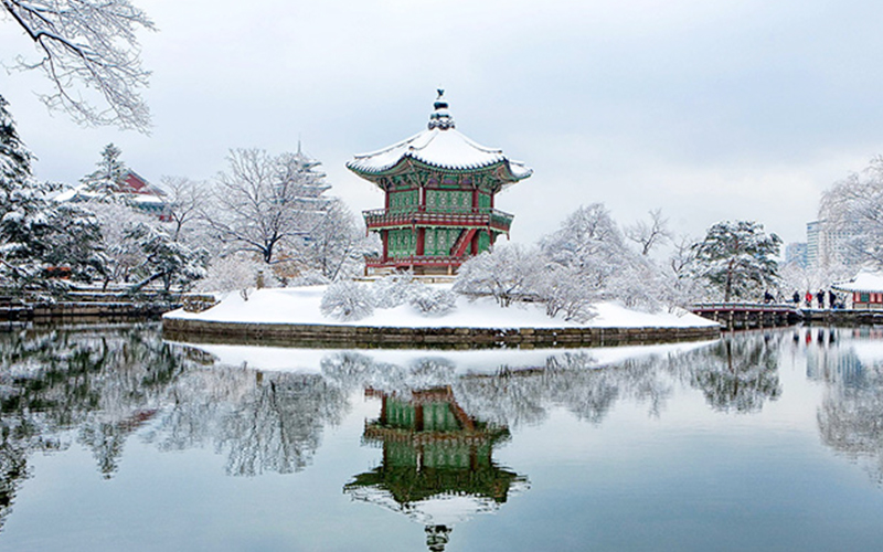 Bucket List Januari: Menikmati Festival Musim Dingin di Korea Selatan