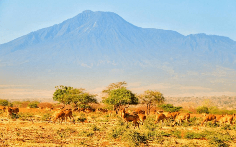 Bucket List Juni: Sabana Terbaik di Taman Nasional Baluran