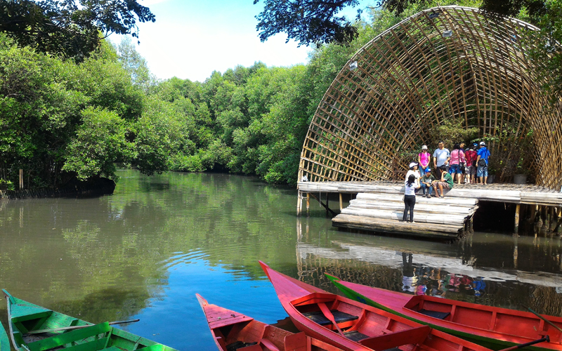 Weekend di Jakarta Juga Bisa Berwisata - Taman Wisata Alam Mangrove